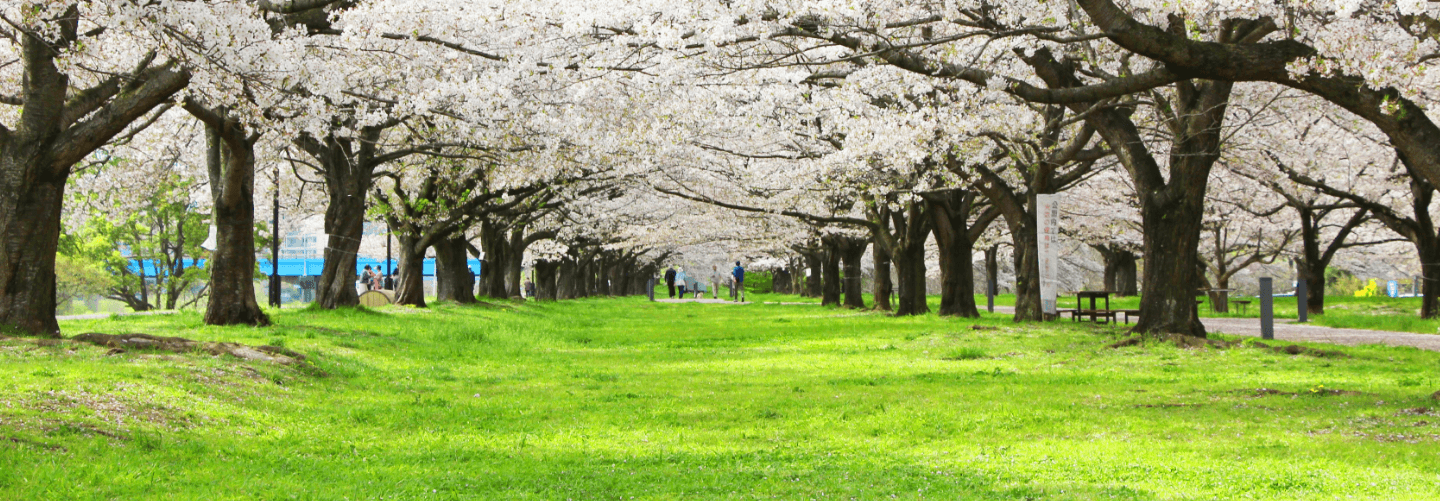 募集職種紹介 背景画像