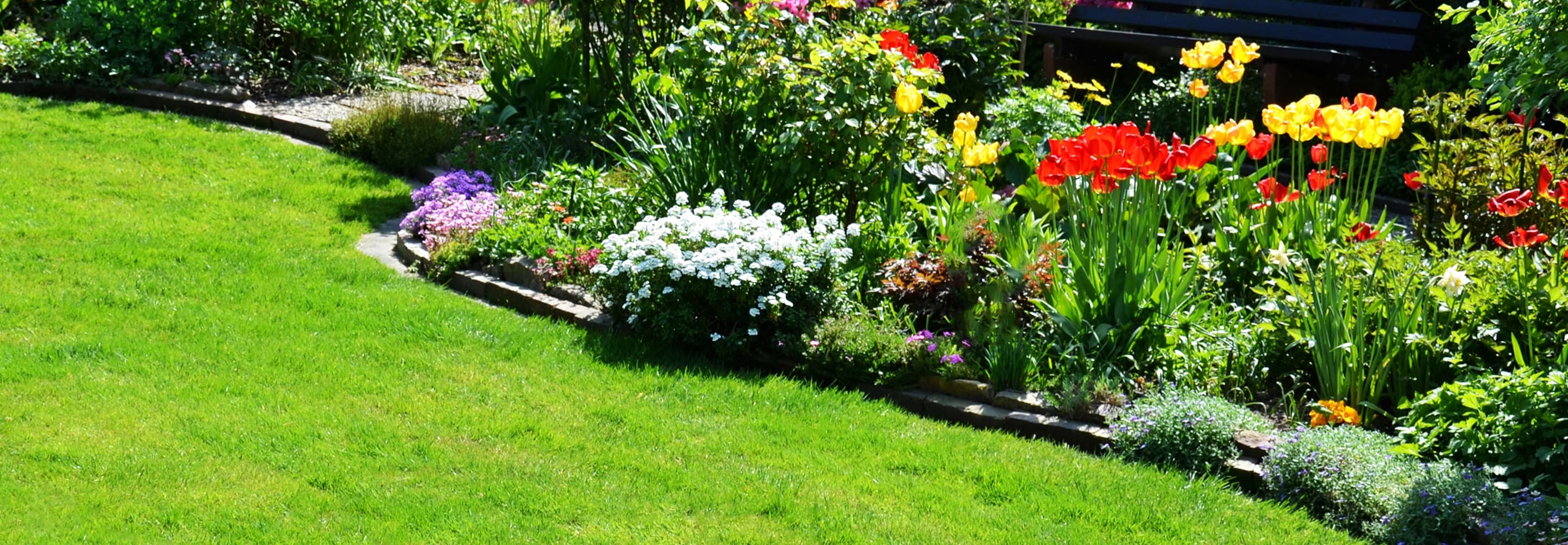 募集職種紹介 背景画像